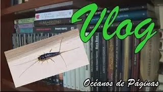 Vlog 24. El pececillo de plata se come tus libros