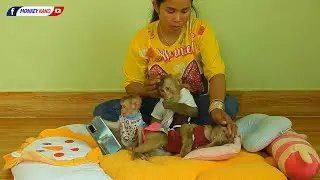 Tiny Baby Olly Disturb Brother Kako With Sister Luna Taking Nap Daytime