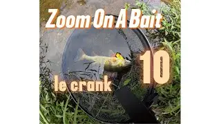 Zoom On A Bait 10 : le crankbait