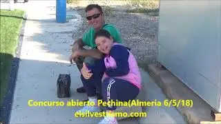 Concurso abierto Pechina (AlmerÍa 6-5-2018)