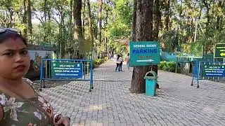 Bengal Safari Siliguri 🐅 | Wild Experience in North Bengal