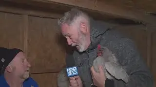 Backyard chicken-keeping takes off in Oregon with affordable rental option