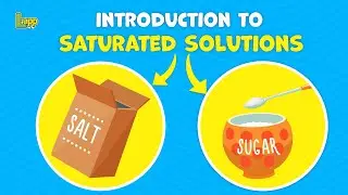 What is a Saturated Solution? | Solubility & Heating Explained for Kids | Fun Science with Salt