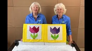 January 2026 Block of the Month