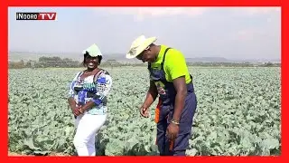 Cemania na Judy Wangechi, mũrĩmi woma wa mboga Naivasha; #MũgamboWaMũrĩmi PART 2