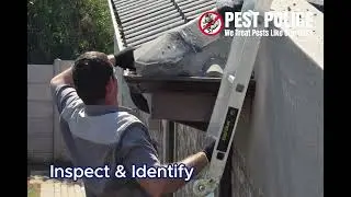 Bird Control by Pest Police