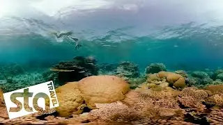 EXPLORE AUSTRALIA IN 360&deg; | Great Barrier Reef | STA Travel