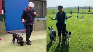 43 Hoe leer je jouw hond de 'Magic Hand' aan?