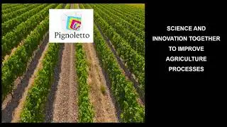 Pignoletto VID2