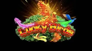 Lucky Birds Fish Hunter Table Arcade Shooting Bird Fish Hunter Game Machine Video