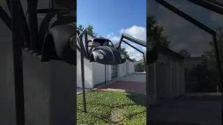 A REAL VW BUG!  #car automobile #auto #art #vehicles #volkswagen #bug #fun #florida #spider #spooky