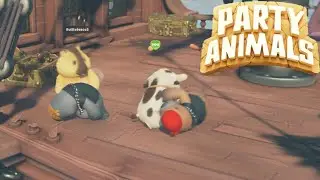 The 