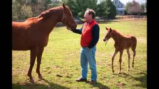 Harford County Agriculture
