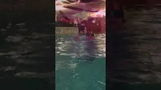 Марк и мореон. 6 лет