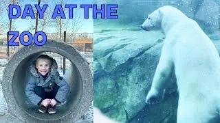 Исследуем зоопарк и видим белых медведей! Зима 2024