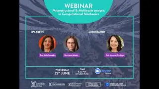 Webinar: Microstructural & Multiscale analysis in Computational Mechanics