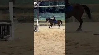 bro spooked at a bird 🥀 l KK-EQ l #horse #equestrianjourney #horseriding #remi
