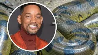 Giant Anaconda Discovered During Filming with Will Smith in the Amazon