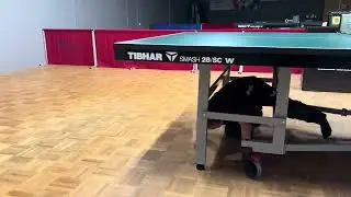 Senioren clubkampioenschappen 2026 - Luca onder de tafel