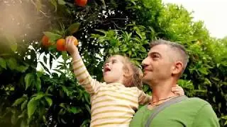 Produce Market Guide (PMG) - Website Overview