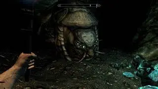 Skyrim Shellbug Location #2: Sharpslope Cave (both entrances)