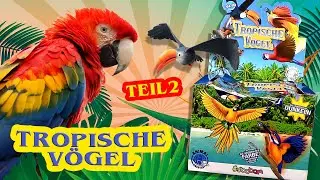 Sbabam ® Tropische Vögel * Teil 2 von 4 * Rulers of the Skies - Tropical Edition * Unboxing