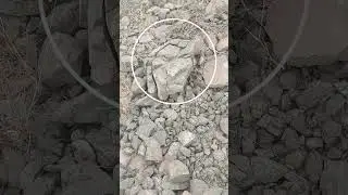 EarthTalk FaceRock