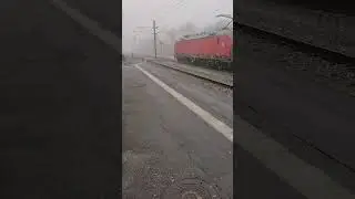 Lost in the mist #short