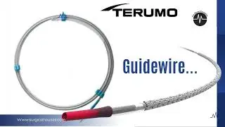 Terumo Guidewires Supplier | Shubham Corporation | Surgical House India