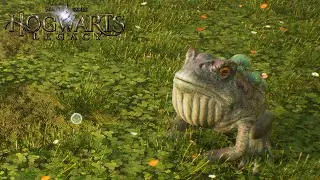 Hogwarts Legacy | Giant Purple Toad | Fantastic Beasts And Where To Find Them