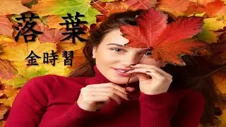 한시TV 漢詩鑑賞20  落葉[낙엽]  金時習[김시습]