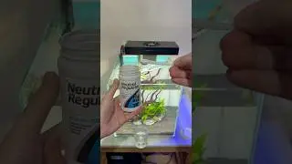 Ajustando o pH da &aacute;gua do aqu&aacute;rio. Cada peixe vive num pH de &aacute;gua , &aacute;cido ,neutro ou alcalino.