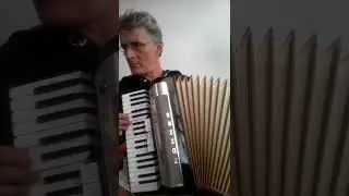 hohner lucia 96 basova