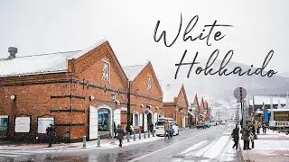 WHITE HOKKAIDO - ฮอกไกโดสีขาว หนาวววมั่กๆ | No Journal Go Journey