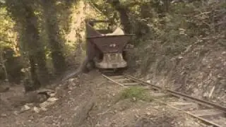 Tipping skips