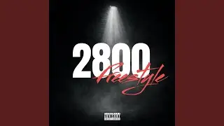 2800 freestyle