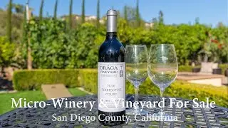San Diego Luxury Home For Sale w/ Vineyard & Micro-Winery