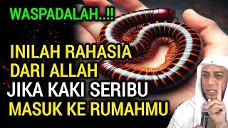 JANGAN DIABAIKAN‼️13 PERTANDA JIKA KAKI SERIBU MASUK KE RUMAH ANDA MENURUT ISLAM