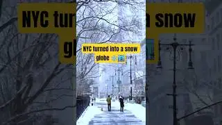 POV: Snow Walk in Central Park ❄️ | Winter in New York #shorts #pov