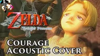 Zelda Twilight Princess: 