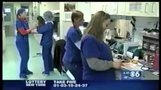 Ask the Vets: How to choose the right Veterinarian