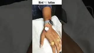 #bird #tattoo #shorts 🕊️🕊️🕊️ tattoo writers dhamnod contact 9039920119,9977082013