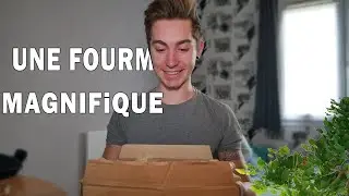 Ouverture d'un colis, une espèce MAGNIFIQUE de fourmis - UNBOXING FourmisHome