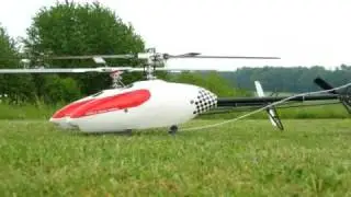 Roxxter 33 Clipgenerator - 2