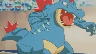 Dragon Dance Feraligatr Sweep