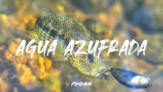 Aventura de pesca en la quebrada | Guapotes y naciente de agua azufrada