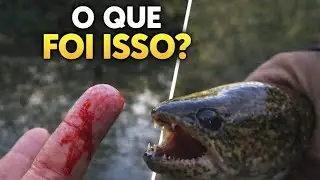 Algo fora do normal aconteceu… traíra na linha