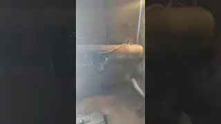 VID 20240120 101809