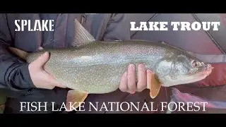 Ice Fishing Fish Lake, Utah | 8lb Lake Trout & Splake