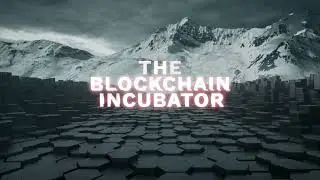 The Blockchain Startup Incubator That Shapes the Future